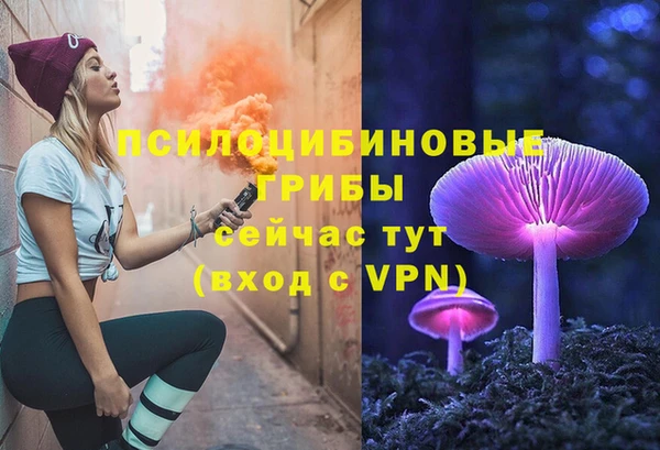 2c-b Балахна