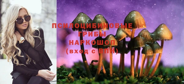 2c-b Балахна